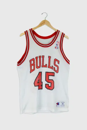 Vintage NBA Chicago Bulls Number 45 Jersey Sz L